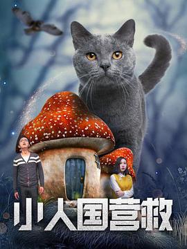 国产一区二区三区不卡免费观看